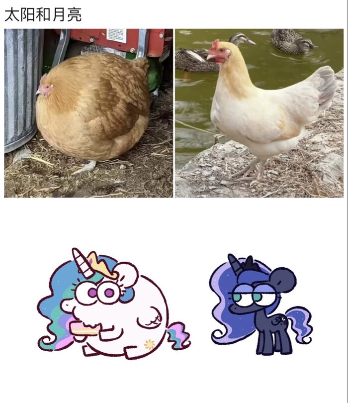 ������ � ����