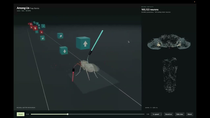 ��� ���� �������� ������ � Beat Saber � ������������ ����, � ������� ����� ��������� ������ ��� ����������� ������. ���� �� �����, ��� ����������� � ���� ����� �������. �� ������ �������� �����������, ��� ��� ������������� �� ��� ��������.