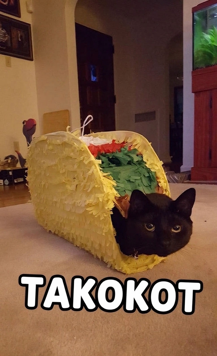 ���������: