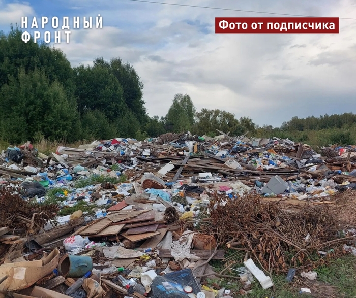 Около Вавиловки разрастается гигантская свалка отходов. Жители боятся, что из-за нее в деревню придут медведи