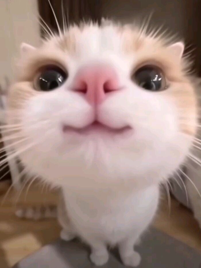 ���������� ���� ))