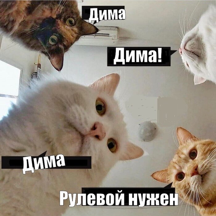 Палиндром: