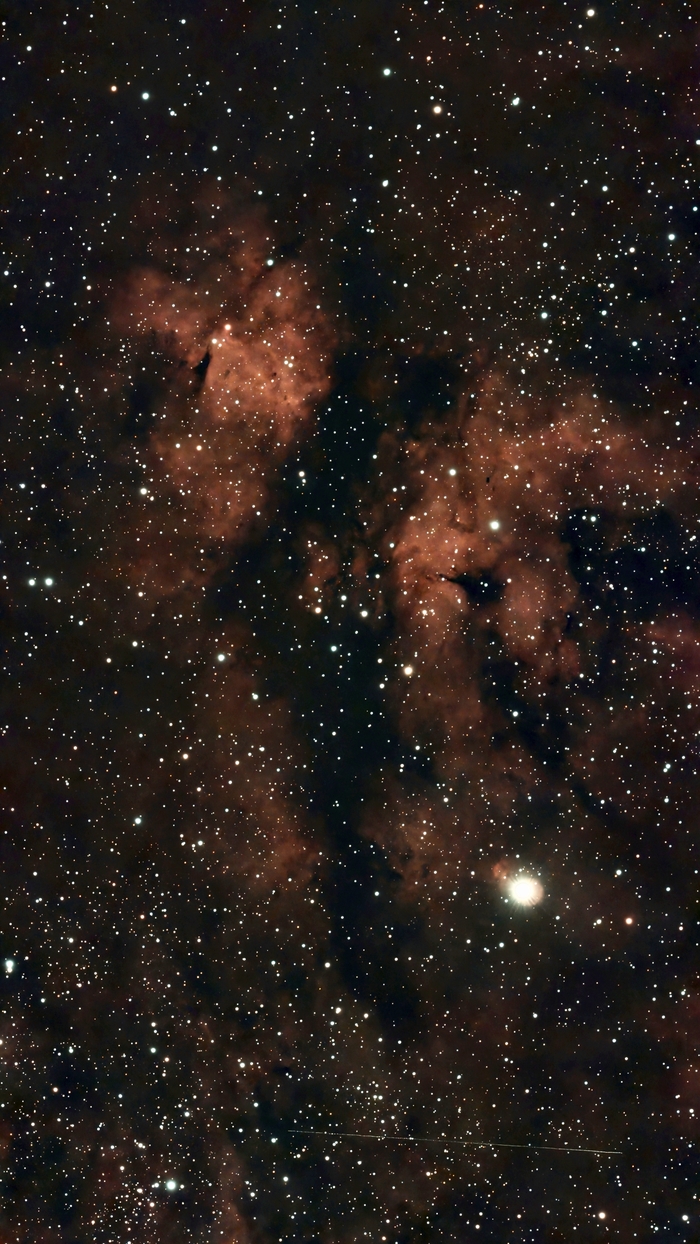 IC1318 - Туманность Гамма Лебедя