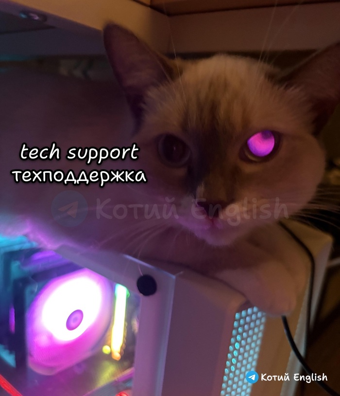 Техподдержка