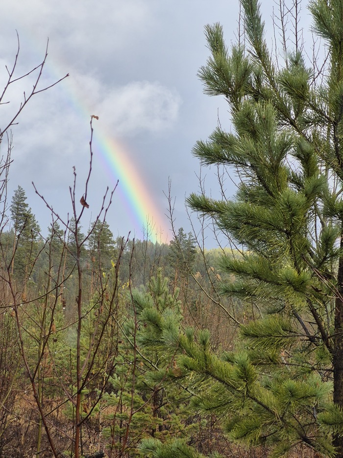Rainbow