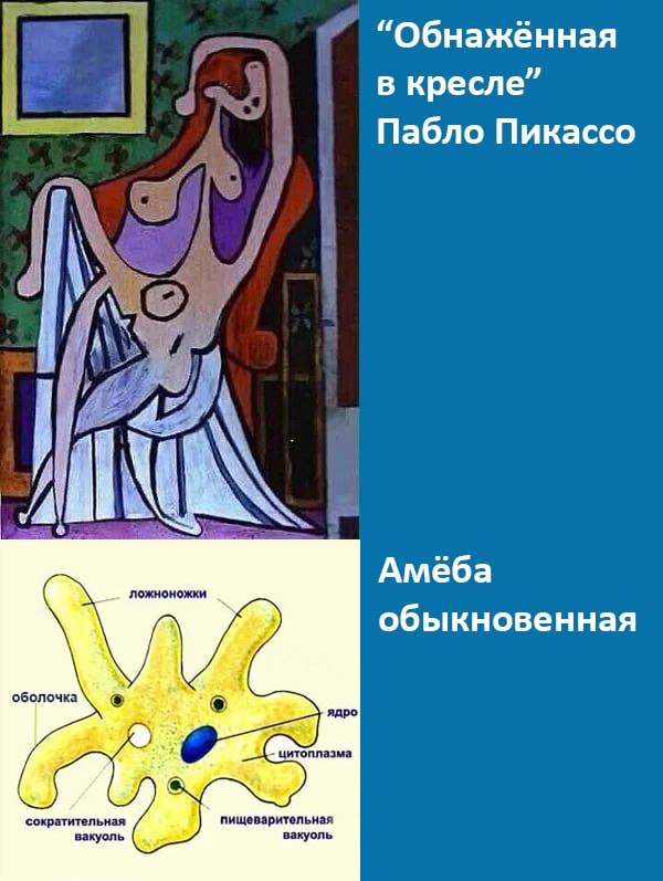Ложноножки и ложноручки