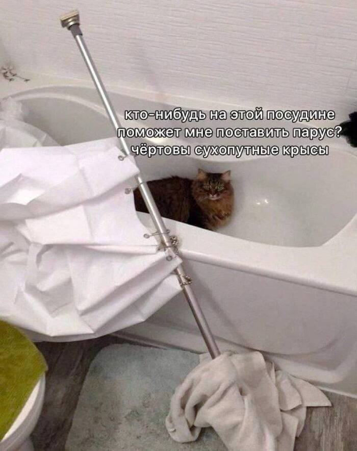 И ничего и не скажешь