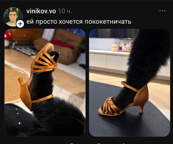 А ей идёт!