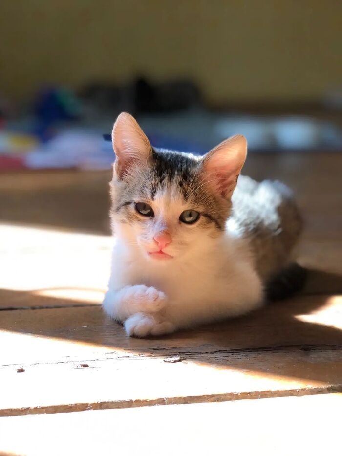 ������ ������ � ��������� 😻