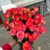user12268701