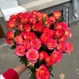 user12268701