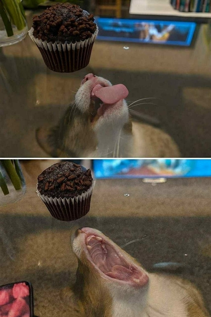 ������� ��� ������ � ��� ������...