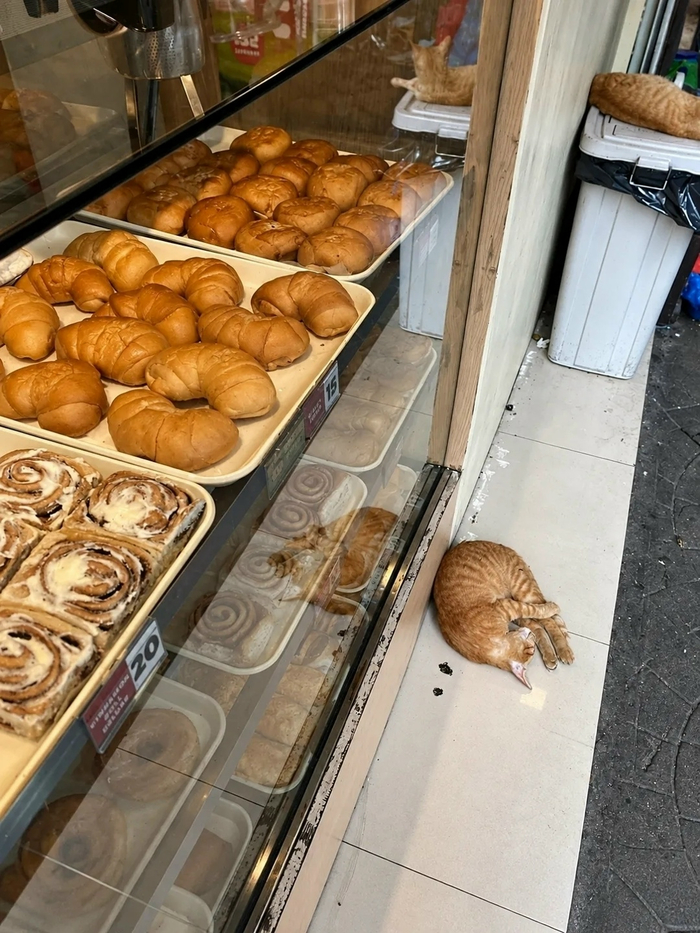 � ��� �������� �����
