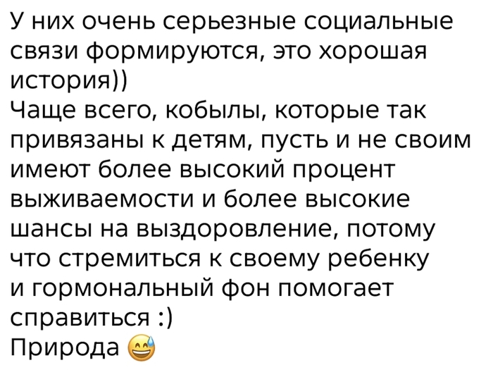 Пусть будет так