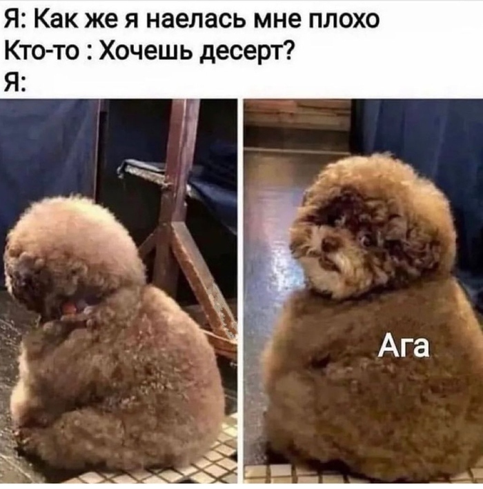 ������ ������ ������!