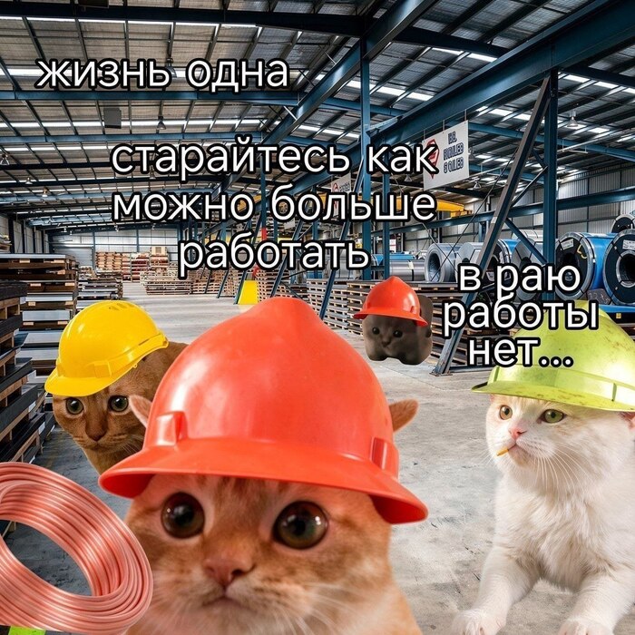 Вот такая фигня, котятки