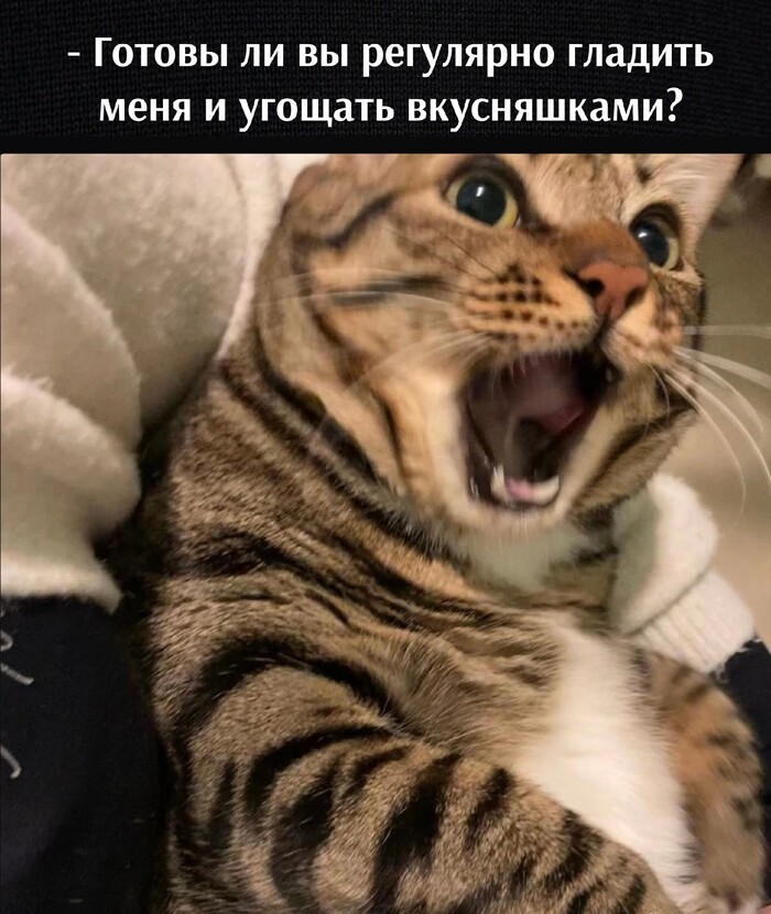 �� �� �� ��