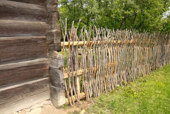 Не лыком шиты.