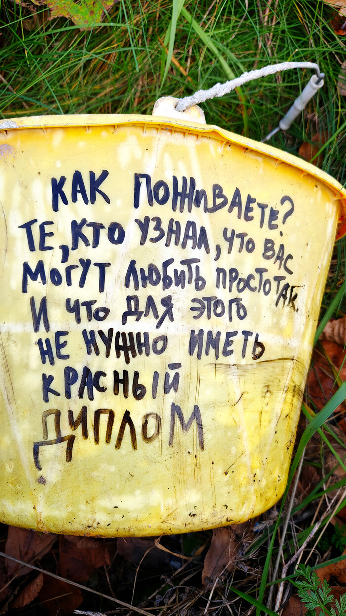 Диплом, кстати, тоже не гарантия)