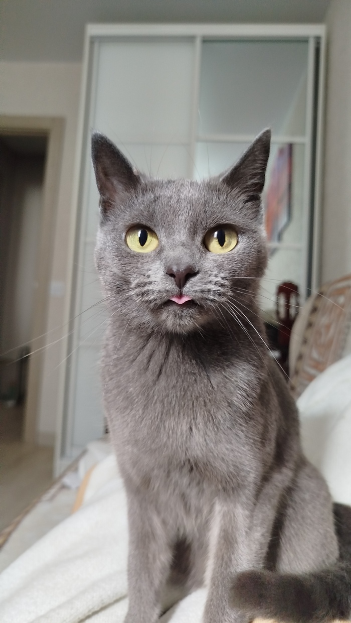 Малышка мышка:3