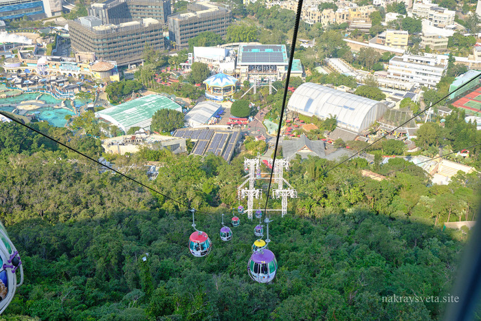 � Ocean Park ���� ������ ����� ������������� � ��� ����������