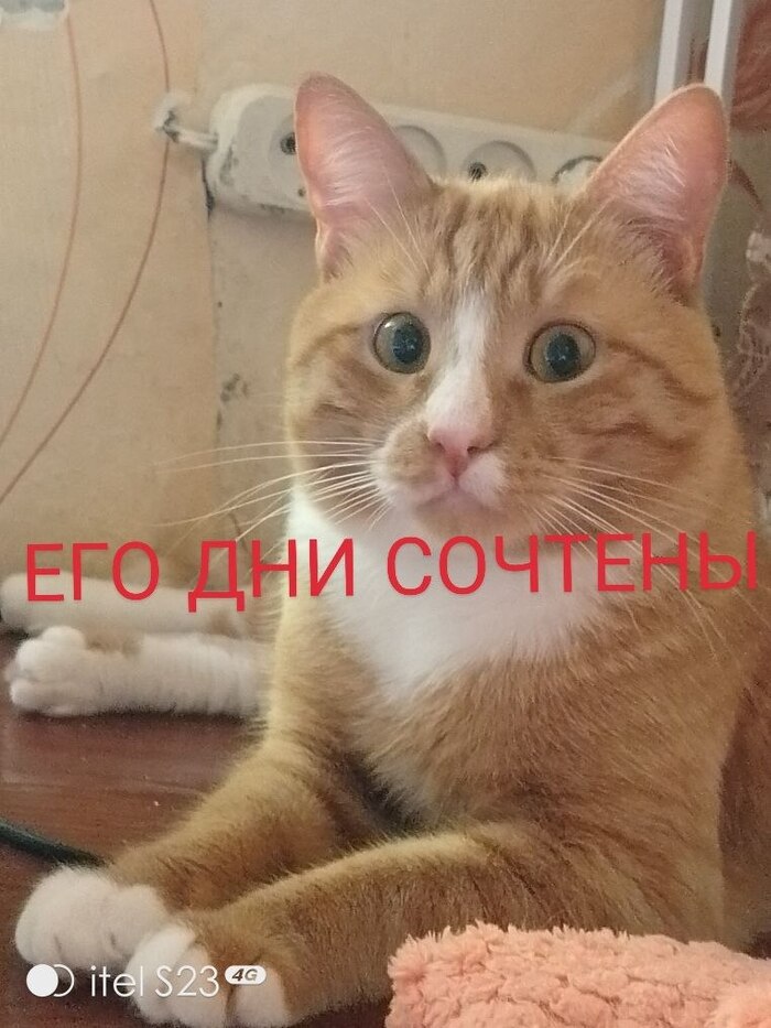 Смайлик недоумевает куда же ему теперь переезжать. Может к Вам?