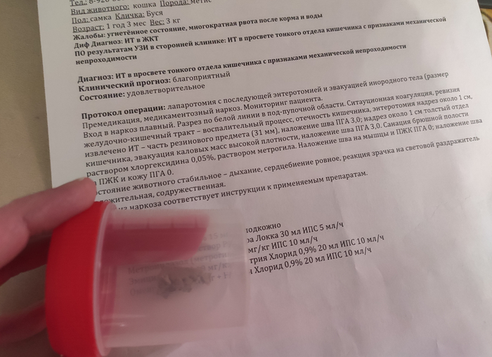 после операции вам выдадут то, что достанут из питомца, и бережно передадут в баночке.