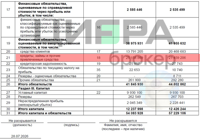 Источник: отчет ООО «Цифра Брокер» по РСБУ за 6 мес. 2026