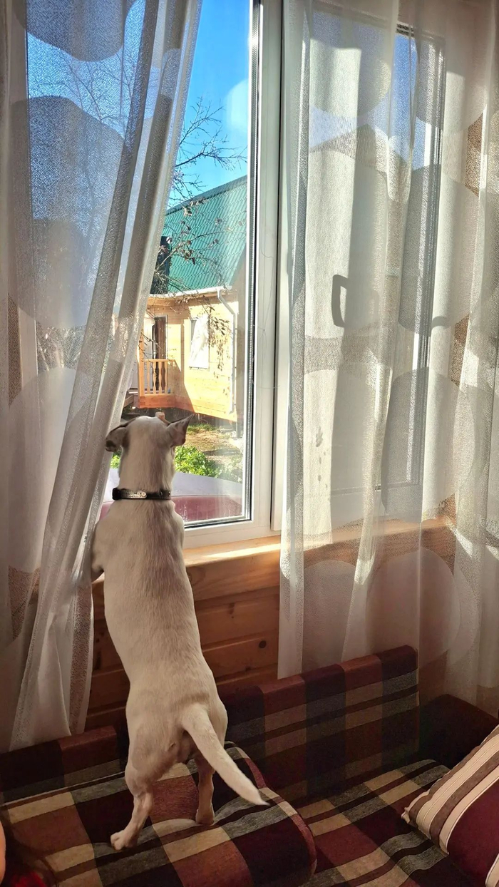 Ну когда ты там докрасишь уже?!!