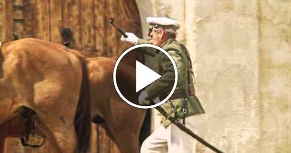 Граната не той системы белое солнце пустыни. Гранаты не той системы. У него гранаты не той системы фото. Гранаты не той системы. Белое солнце пустыни подпоручик.