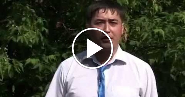 Кузьминский лесопарк | Пикабу