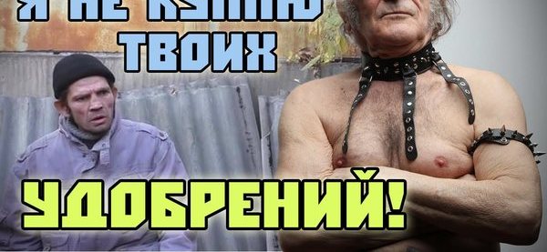 Пвз дичь. Константин Ступин дичь. Давидович и Ступин. Ступин втираешь дичь.