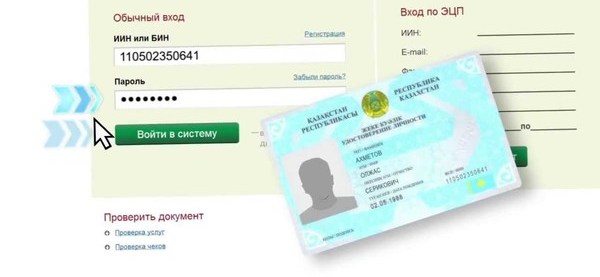 Получение иин в казахстане. Бин Казахстан что это. Справки Казахстана егов. Индивидуальный идентификационный номер. Бизнес-идентификационный номер.