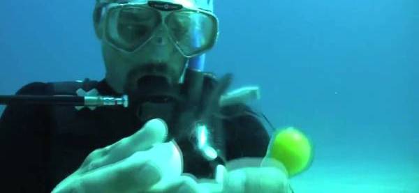 погружение gif. азовское море видео под водой. яйцо в соленой воде. яйца кипят. пузыри в океане.