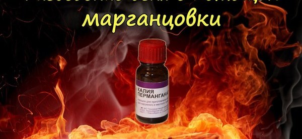 Марганцовка и глицерин. Разводим костер с марганцовкой.