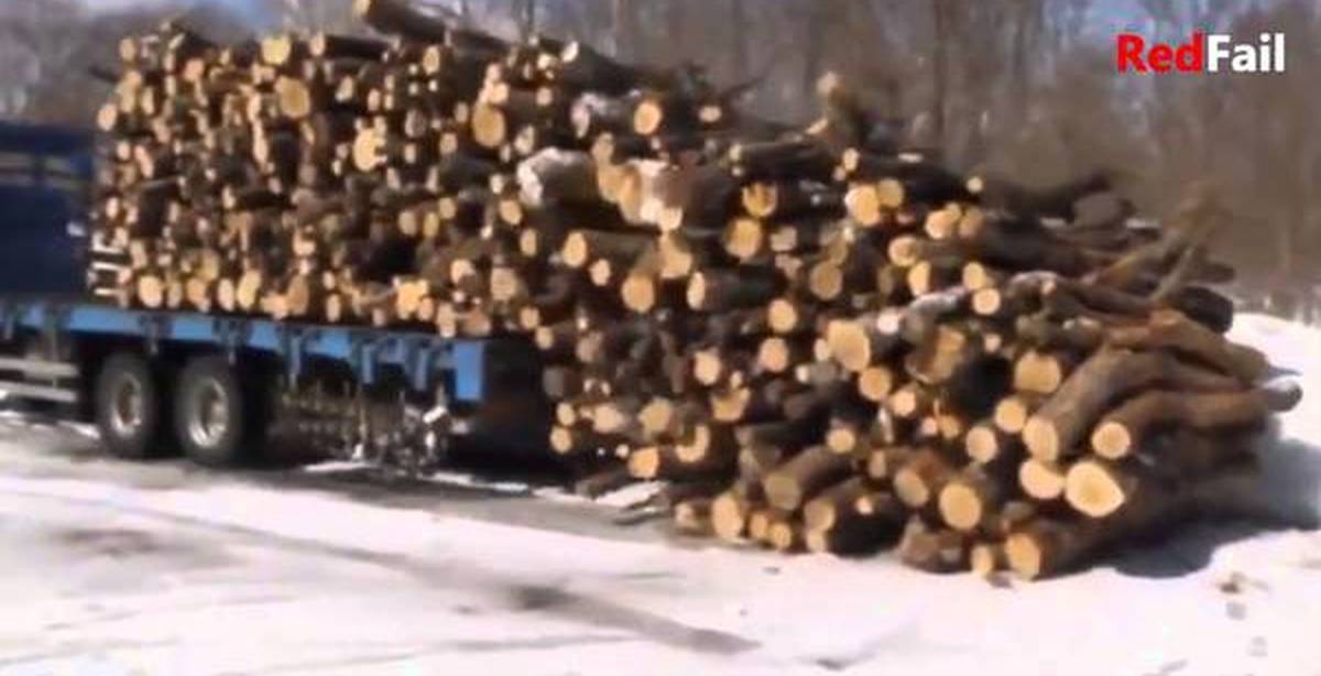 WINS Compilation || Dec15/Jan16 || RedFail | Пикабу