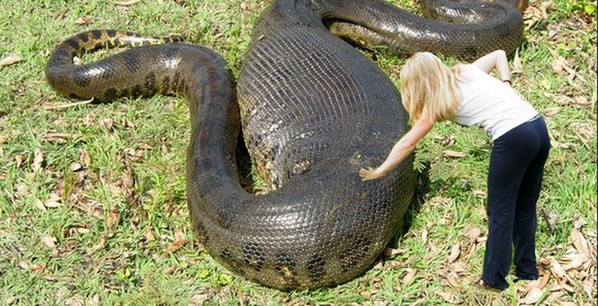 Cuanto cobra manolo el del bombo