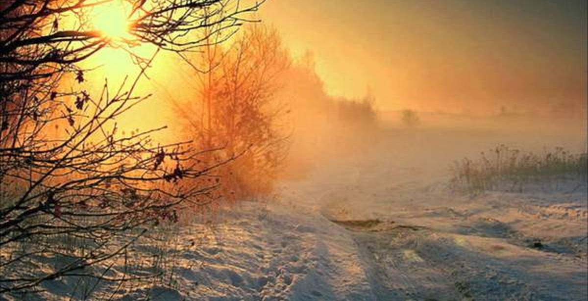 Jacoo фирма есть?. Jacoo фирма есть?. Jacoo. Утюг jacoo jis-1240 цена. Jacoo aj-024ch-mq2.