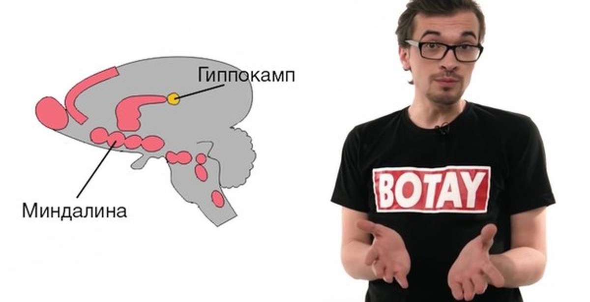 Картинка с надписью ботай, парень девушкой целуются