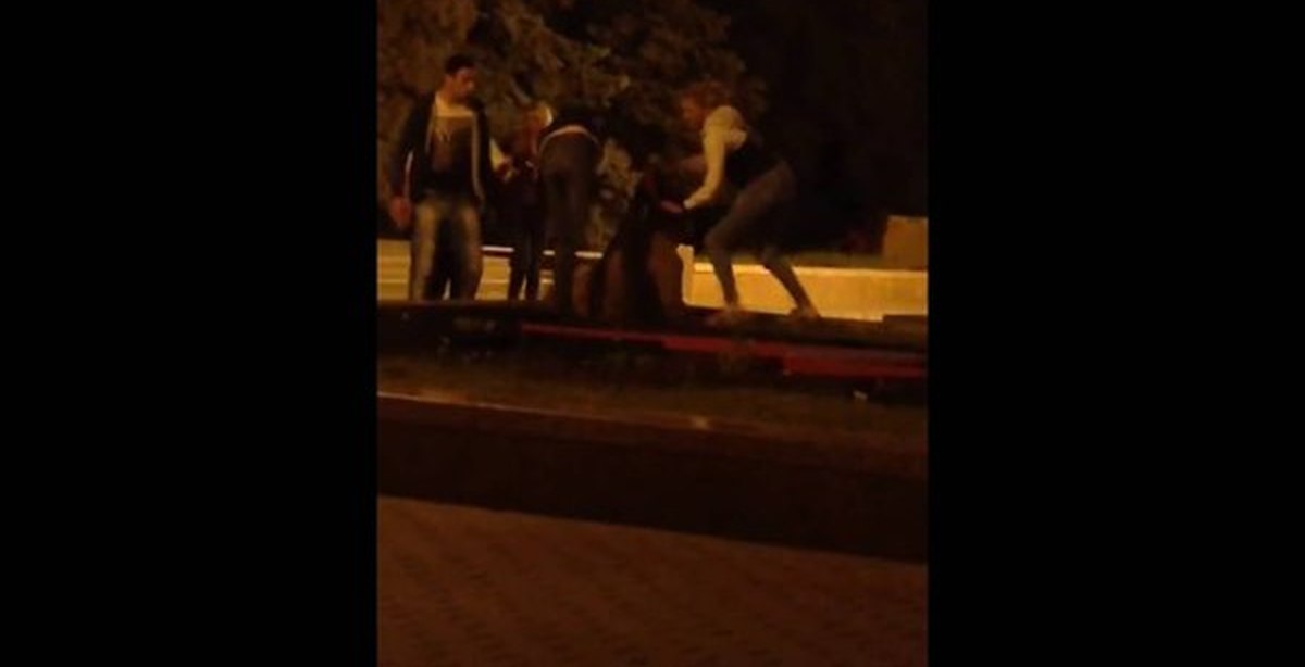 В анапе избили девушку и парня. В Воронеже девушку толпа парней. Драка девчонок в кафе госпожа удача Воронеж