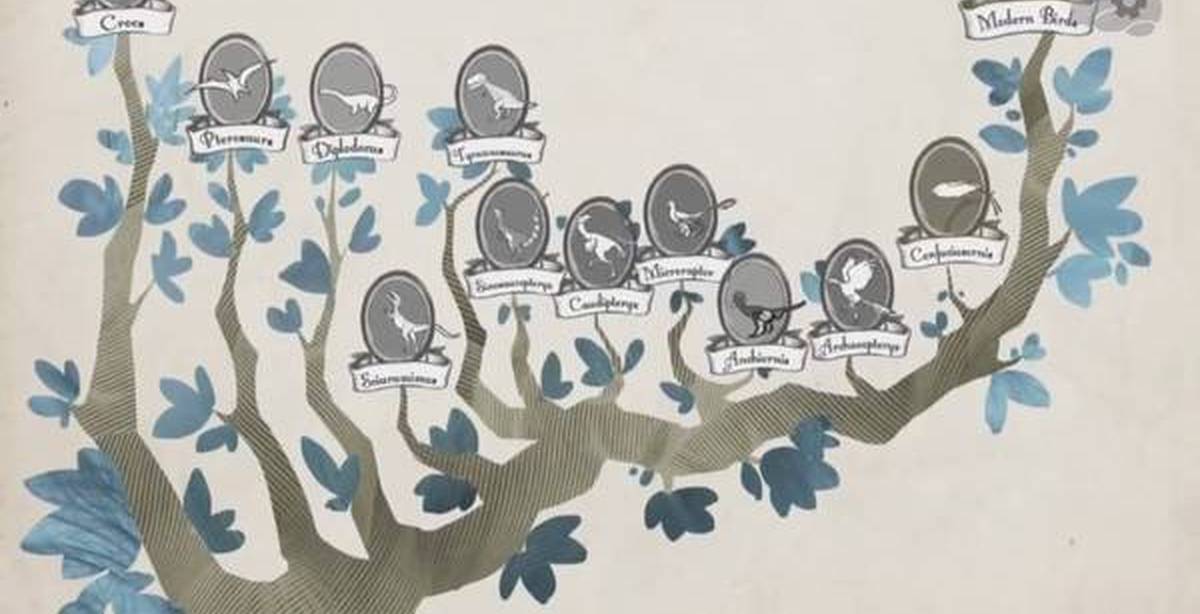 Эволюция древа 184. Эволюционное Древо динозавров. Эволюционное Древо птиц. Древо эволюции Носорогов. Таблица эволюции динозавры.